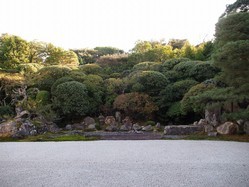 金地院-鶴亀の庭.jpg